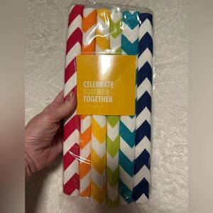 NEW NWT $29.99 Colorful Chevron Placemats Set.